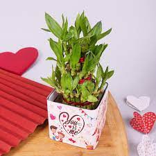 item-image-2223